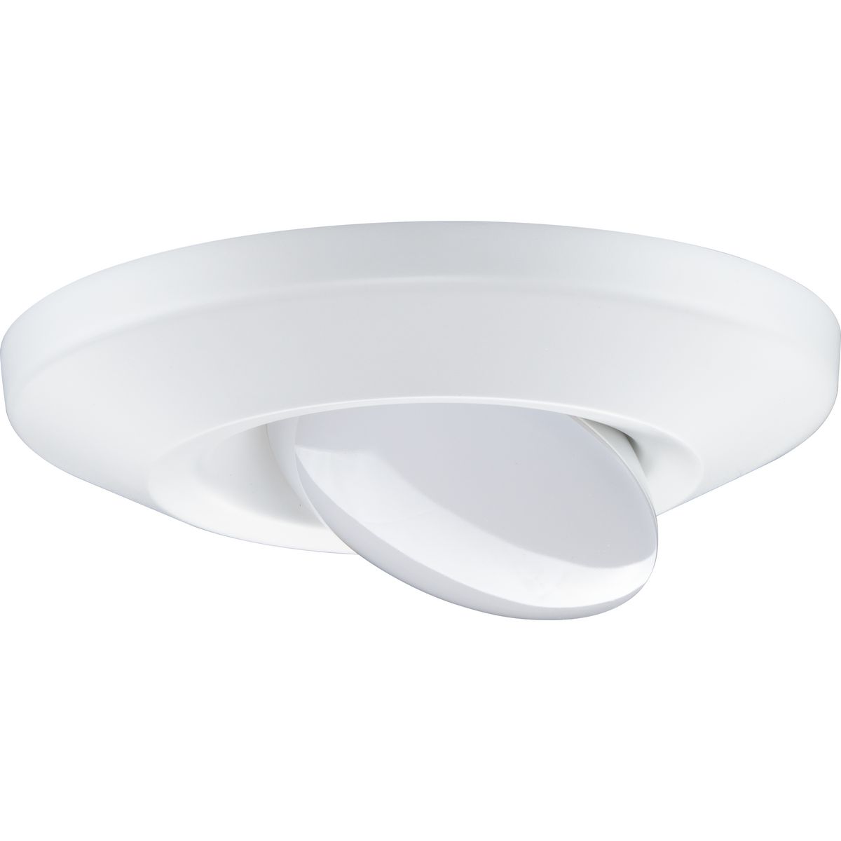 Flush mount store eyeball light